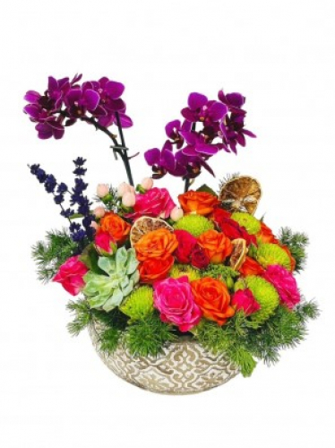 Beton Saksıda Orkide ve Güller