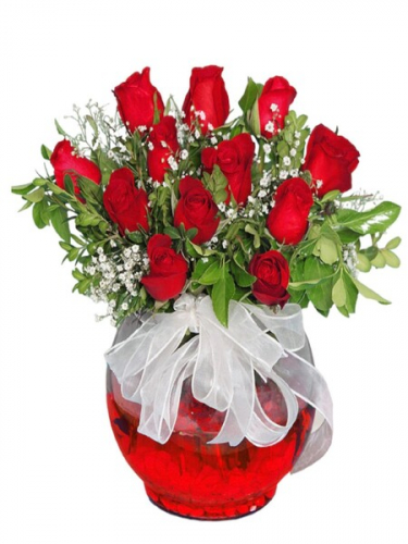 Fanusta 12 Kırmızı Gül