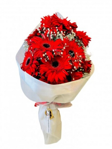 11 Kırmızı Gerbera Buket