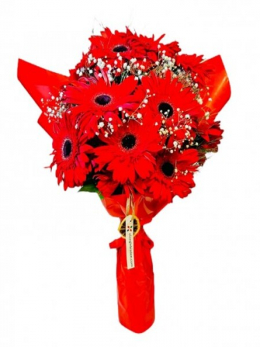 Kırmızı Gerberalar