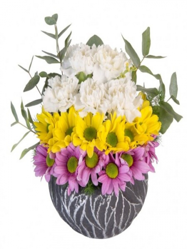 Desenli Saksıda Karanfil ve Papatyalar