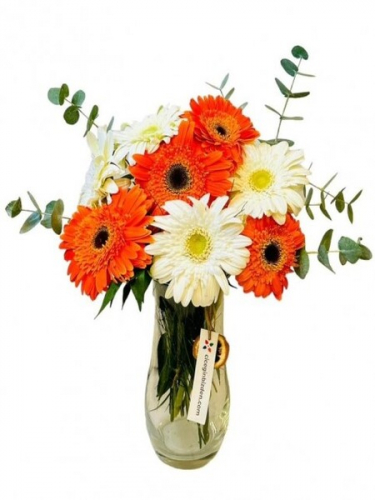 Vazoda Turuncu Beyaz Gerberalar