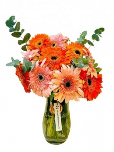 Vazoda Turuncu Pembe Gerberalar