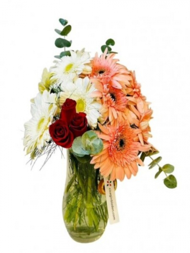 Vazoda Pembe Beyaz Gerberalar ve Güller