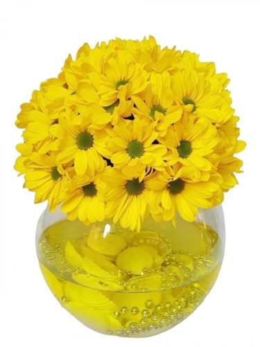 Cam Fanusta Sarı Papatyalar