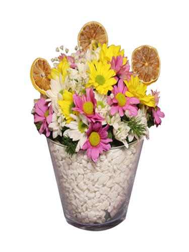 Konik Camda Papatyalar