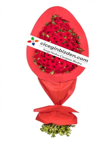Tek Katlı Kırmızı Gerbera Sepet