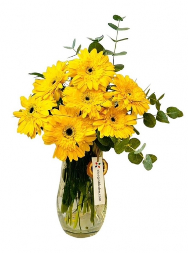 Vazoda Sarı Gerberalar