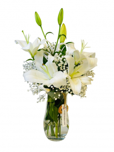 Cam Vazoda Kokulu Lilyumlar