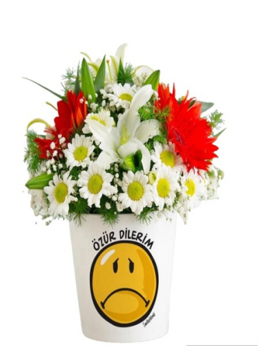 Özür Dilerim Çiçekleri