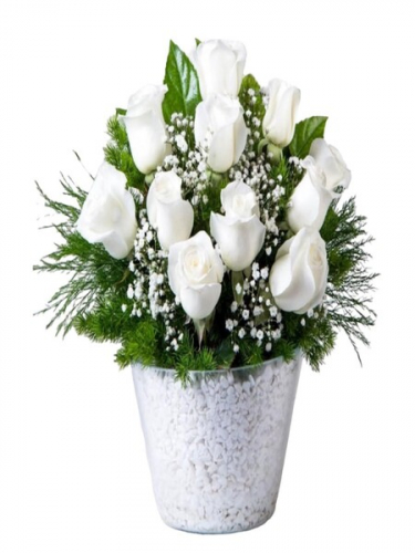 Konikte 11 Beyaz Gül