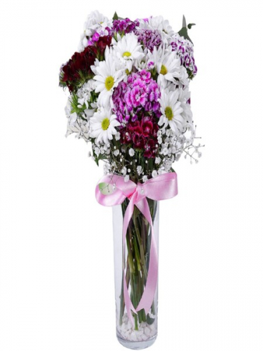 Vazoda Papatya ve Hüsnüyusuflar