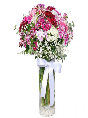 Vazoda Renkli Hüsnüyusuf Çiçekleri