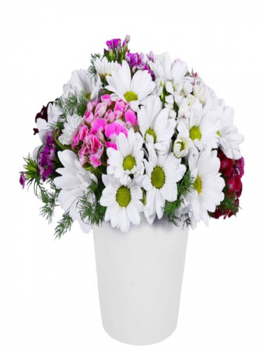 Seramikte Papatya ve Hüsnüyusuf Çiçekleri