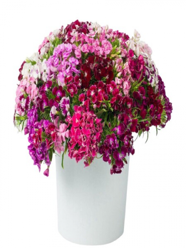 Seramikte Hüsnüyusuf Çiçekleri