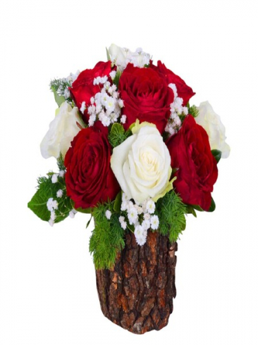 Kütükte Kırmızı Beyaz Güller