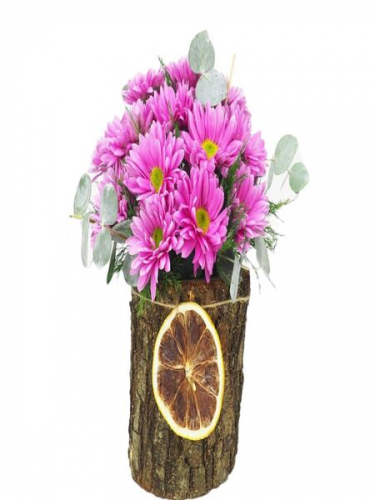 Kütükte Pembe Papatyalar