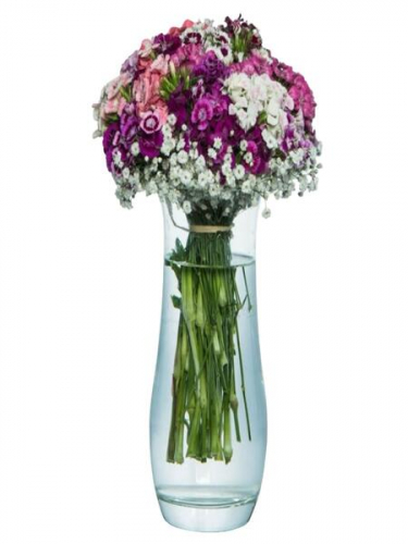 Paşabahçede Hüsnüyusuf Çiçekleri