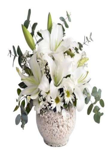 Fanusta Lilyum Aranjman