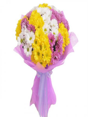 Renkli Kır Çiçekleri