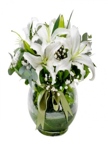 Akvaryum Vazoda Lilyumlar