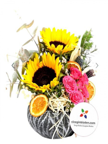 Taş Saksıda Butik Çiçekler