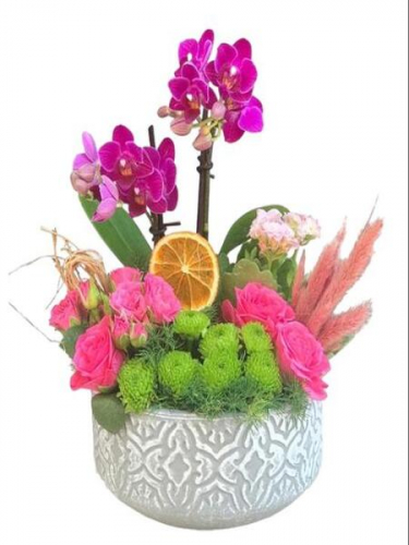 Mini Orkide Aranjman