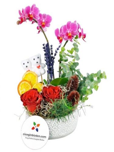 Mini Orkide Tasarım