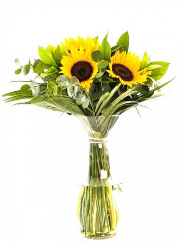 Vazoda Ayçiçeklerim