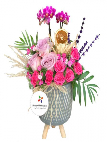 Mini Orkide ve Güller