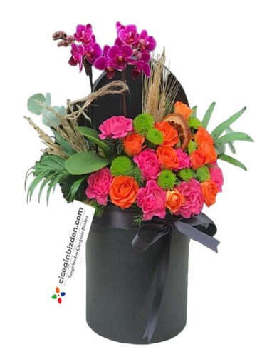 Mini Orkide Aranjmanı