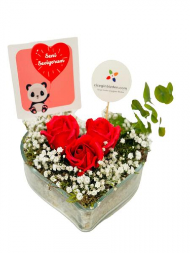 Kalp Camda Kırmızı Güller