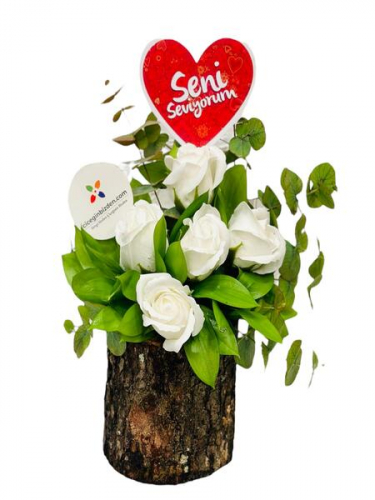 Kütükte 5 Beyaz Gül