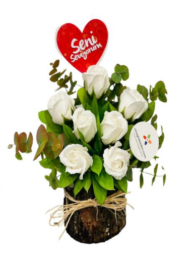 Kütükte 7 Beyaz Gül