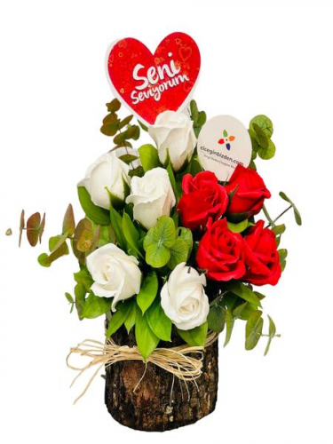 Kütükte Kırmızı Beyaz Güller