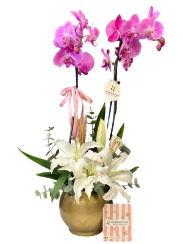 Pembe Orkide ve Lilyumlar