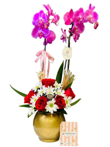 Sana Özel Orkide Tasarım