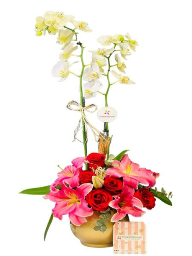 Gold Vazoda Orkide Aranjman