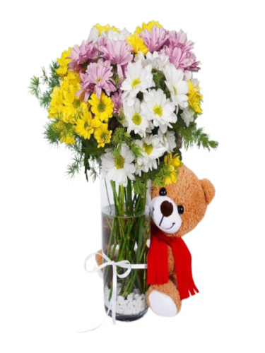 Vazoda Papatyalar ve Ayı